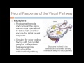 Growing Your Practice with Diagnostic Color Vision Testing