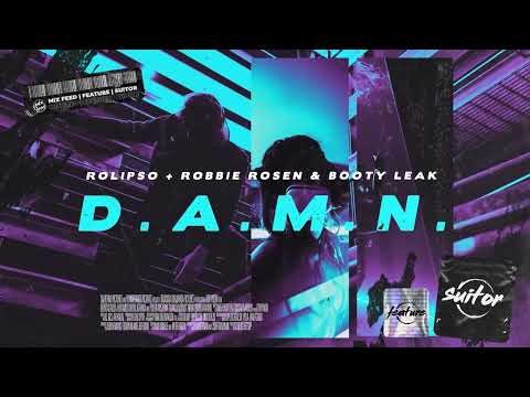 Rolipso + Robbie Rosen & Booty Leak - D.A.M.N