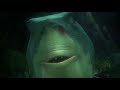 Finding Nemo 2003 Bruce The Shark Chase
