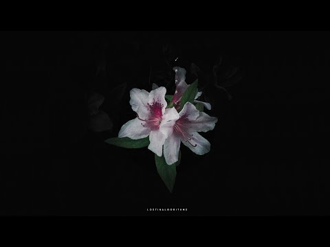 Lost in Algorithms - Half Remembered Dreams (2024) (Full Album)