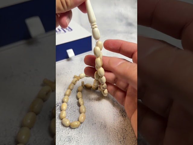 سبحة قرن الغزال الأيل الأوروبي