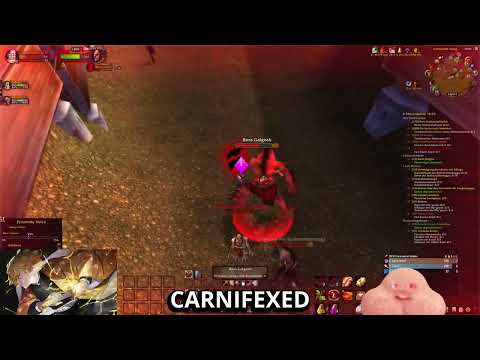 alle Tode Sauercrowd Tag 2