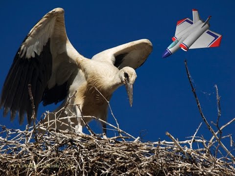 Share Images from SceneKit 3D Apps