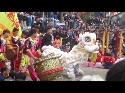 佛山黄飞鸿醒狮队 —— 郑月玲女子醒狮表演（台山汶村第二十一届庙会）