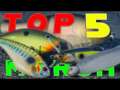 Top 5 Baits For March Bass Fishing! (Beginner To Advanced)