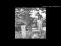 ariel pink - strange fires (eccojam)
