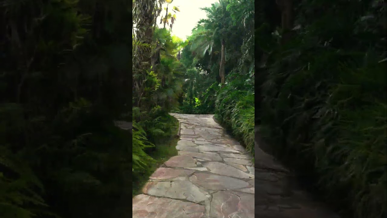 Arte e botânica se encontram no Inhotim