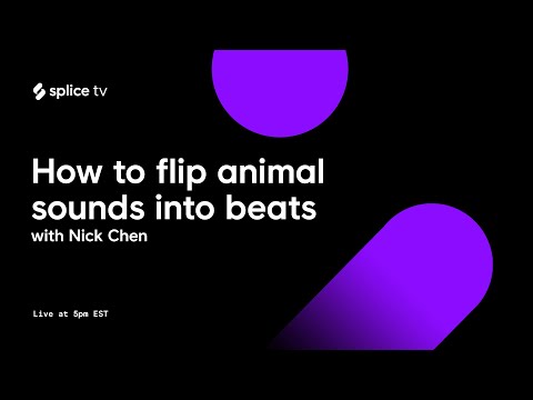 How to flip animal sounds into beats (SpliceTV)