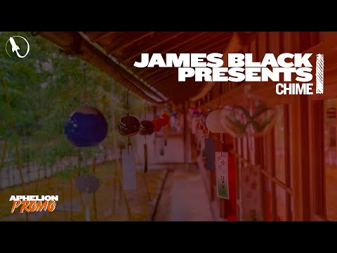 James Black Presents - Chime (Extended Mix)