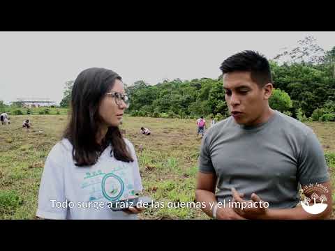 Tree Network does comply by planting 5,000 native trees in the Amazon