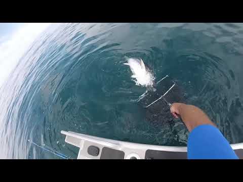 Nomad Design Gypsy Jig - Bluefin Tuna