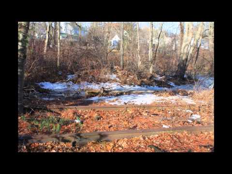 Wildcat Branch; Wilmington MA Part 1. Wilmington Station to Clark Street.