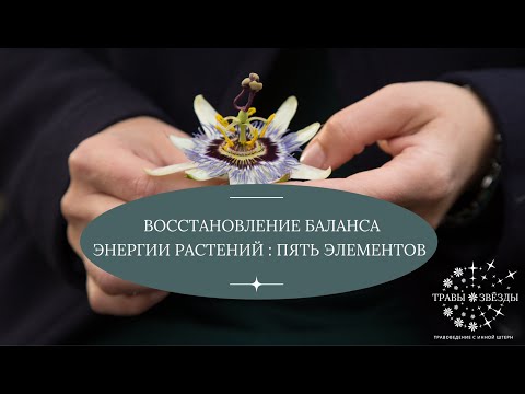 Цитаты про баланс в жизни. Гармония идеальный баланс. Равновесие шутки. Безупречный баланс танос. Life is good компания.