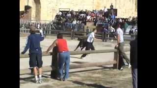 aigues-mortes 2008