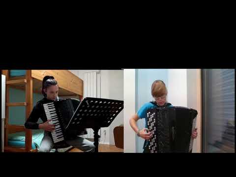 Harmonikarski orkester GŠ Tolmin