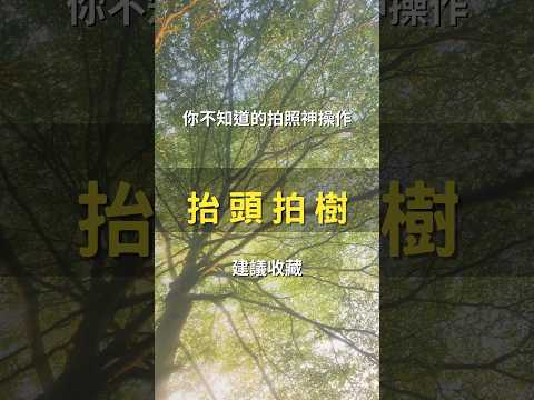 不同人拍樹的差距有多大？攝影師教你「抬頭拍樹」，手機隨手拍出頂級視覺張力 🌲