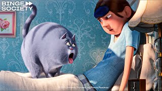 Download lagu Best Of 'The Secret Life of Pets 2' mp3 Download lagu Best Of 'The Secret Life of Pets 2' mp3