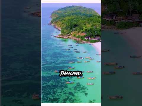 The Wildlife Of Moken Sea Nomads