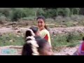 Mallipoo Song Whatsapp Status VTK