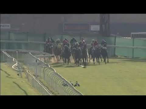 2019.05.04 Gold Bowl (RSA) - Sunshine Silk