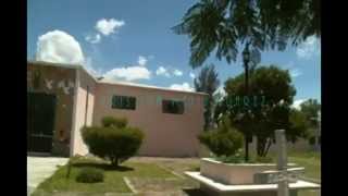 Cristina Flor Guadalupana 2014