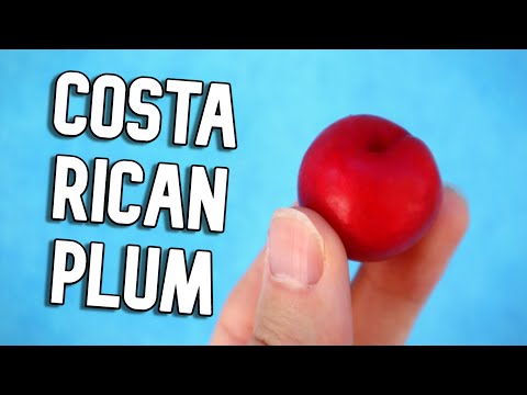 Costa Rican Plums And Apples - Weird Fruit Explorer