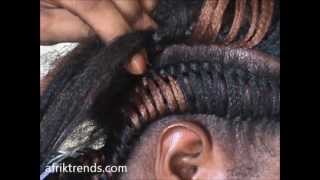 tree braid cornrows preview