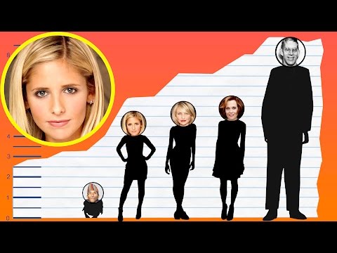 download lagu mp3 mp4 Sarah Michelle Gellar Height In Feet, download lagu Sarah Michelle Gellar Height In Feet gratis, unduh video klip Sarah Michelle Gellar Height In Feet