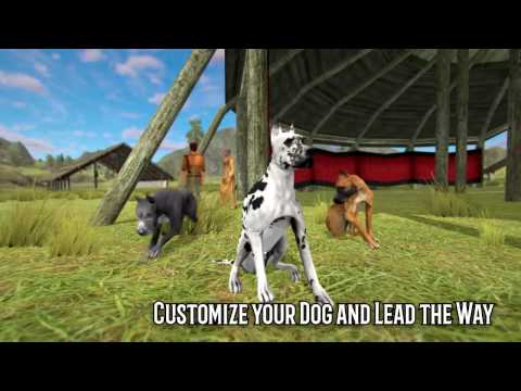 Dog Multiplayer : Great Dane Video