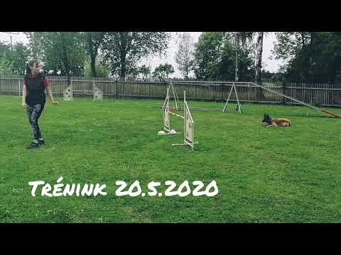 Agility trénink 20.5.2020