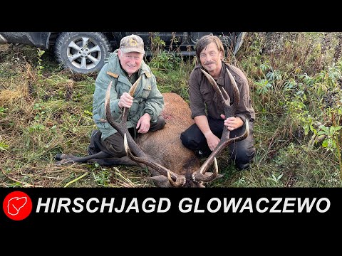 Hirschjagd in Glowaczewo