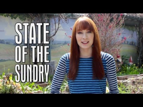State of the Sundry