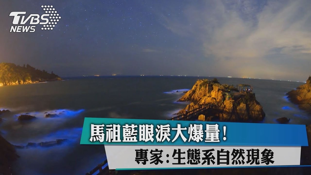 馬祖藍眼淚大爆量！　專家：生態系自然現象