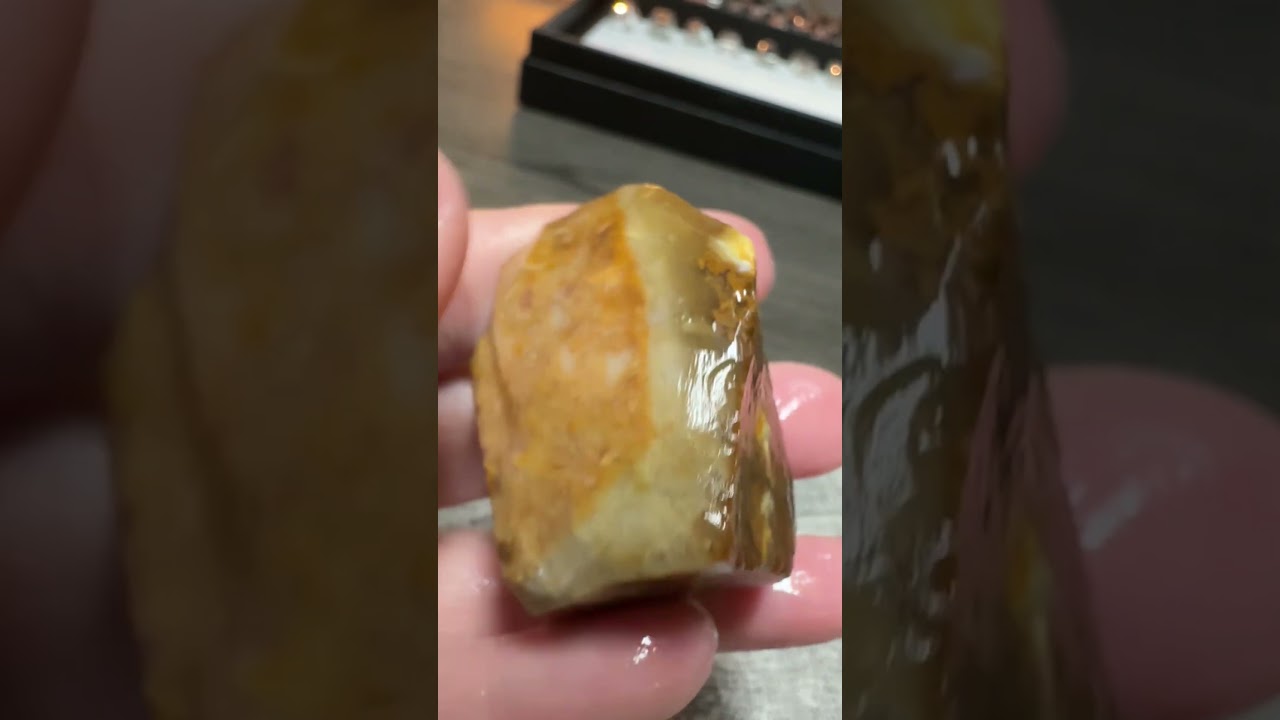 Savannah River Agate #5