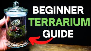 How To Make a Terrarium - A SIMPLE Beginner Guide