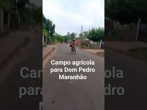campos agrícola a Dom Pedro Maranhão