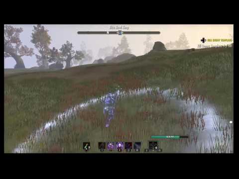 Stam sorc PvP & buffs for low level players OP