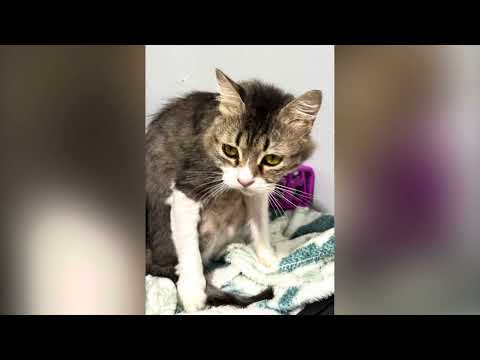 30 июля 2025 г.