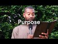 God S Plan For You Uncovering Your Purpose Alex Wilson