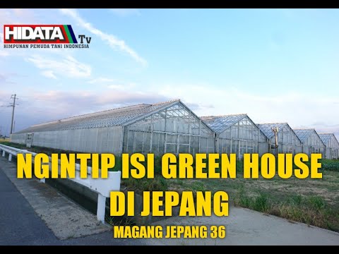 , title : 'Green house petani di jepang'