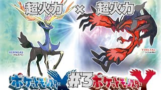 【役割論理】新・ポケモン剣盾で役割論理ですぞｗｗｗpart3 サイクルブレイカーなXとY編【やろびのうた】