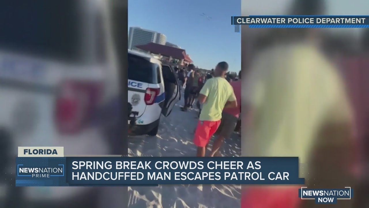 VIDEO: Florida spring break crowd cheers on teen during police cruiser escape