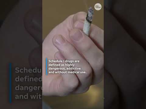 President Donald Trump considers reclassifying marijuana under federal law Shorts