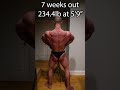 CHASE IRONS 7 WEEKS OUT FROM FIRST OPEN BODYBUILDING SHOW