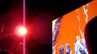 Broadcast - Black Cat