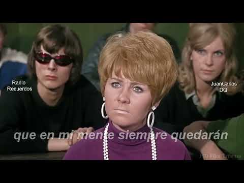 Al maestro con cariño  KELA GATES | Letra