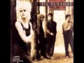 'Til Tuesday - David Denies
