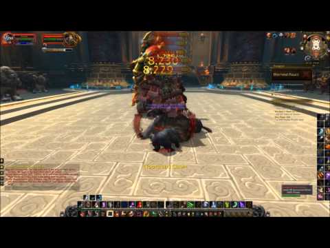 World of Warcraft | Stable Ise Crimson Cloud Serpent (Mount Guide)