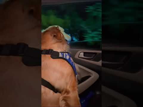 #kleo #vrishank srishank #bhongir