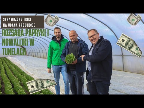 Rozsada papryki i nowalijki w tunelach. Sprawdzone triki na udaną produkcję